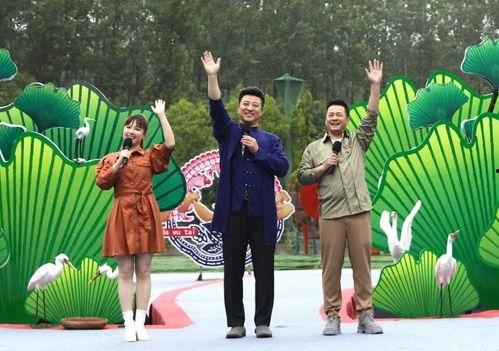 迷蝶岛最新爆料消息视频,神秘视频揭示岛屿秘密与未知奇遇